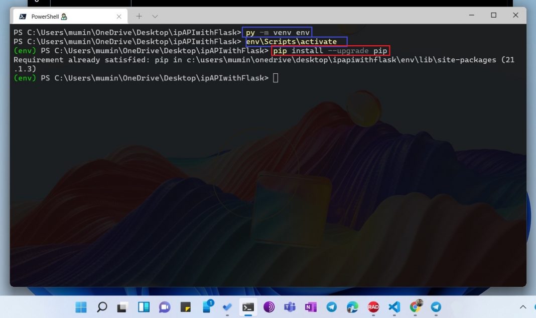 Look Up IP Addresses with Python Flask & IP API Guide Pro v2
