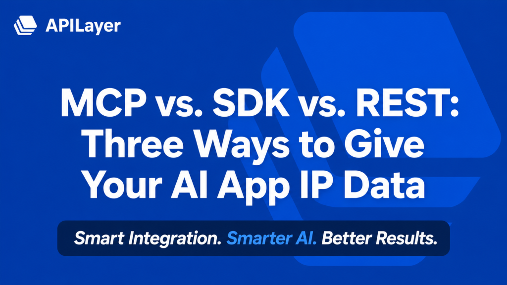 MCP SDK REST IP data guide