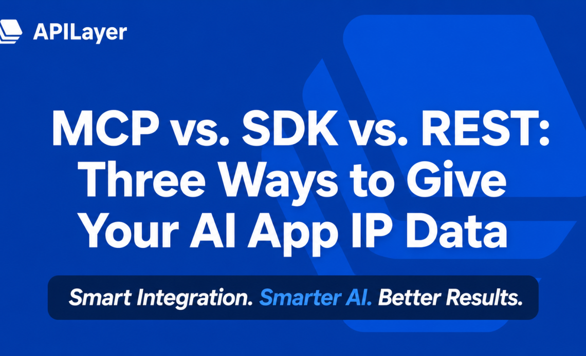 MCP SDK REST IP data guide